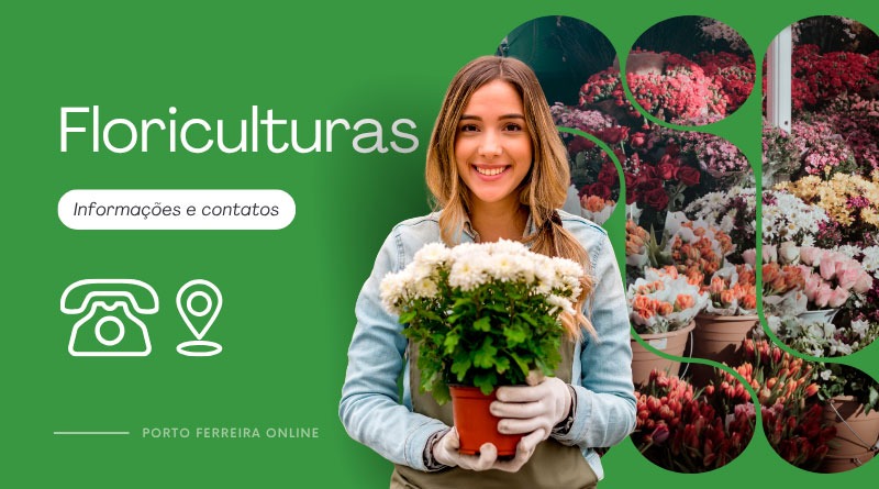 Distribuidoras de Água e Gás em Porto Ferreira