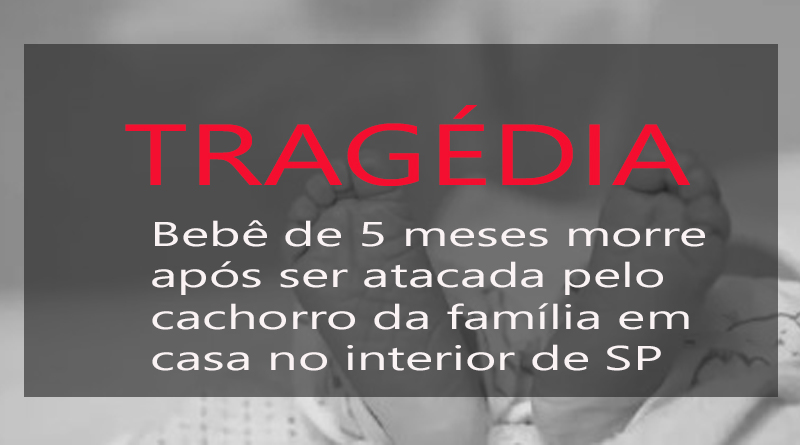 Bebê de 5 meses morre após ser atacada pelo cachorro da família em casa no interior de SP