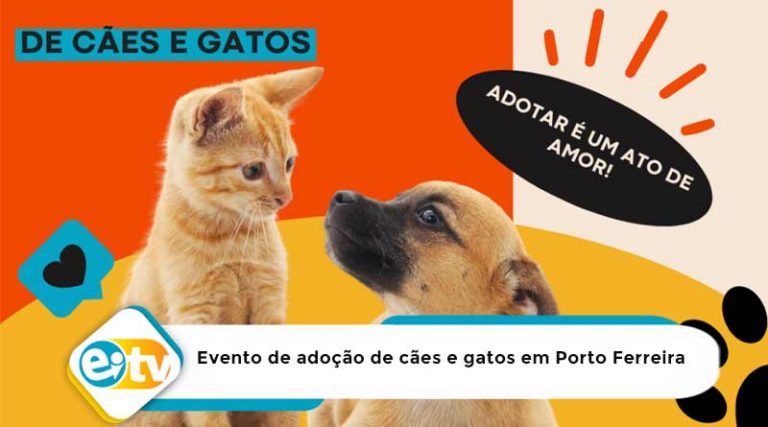 Evento de adoção de cães e gatos em Porto Ferreira – 10/05