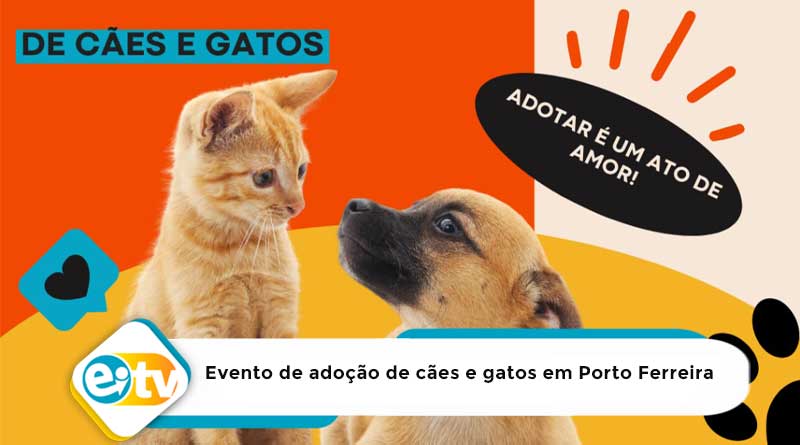 Evento de adoção de cães e gatos em Porto Ferreira – 10/05