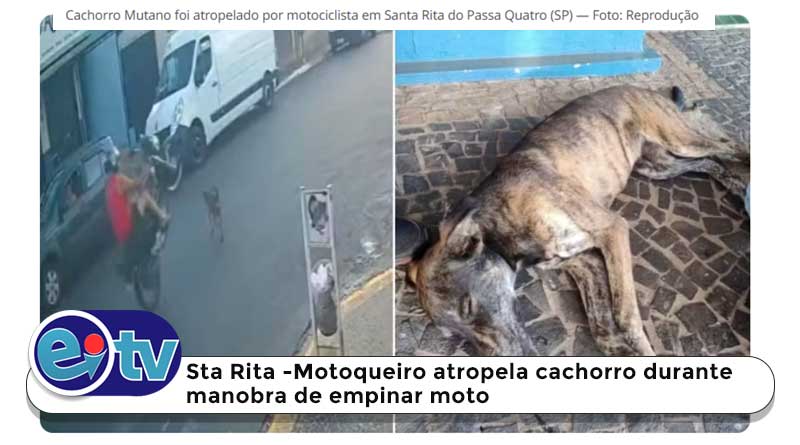 Motoqueiro atropela cachorro durante manobra de empinar moto em Sta Rita PQ