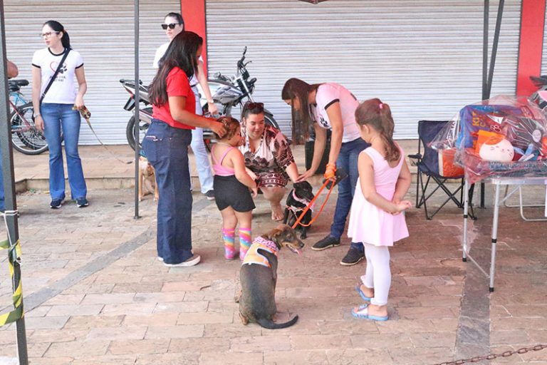 Evento de Adoção de cães e gatos – 10/05