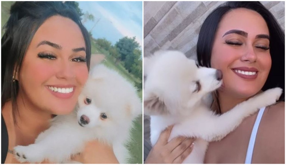 Mulher tem cachorro de estimação morto a facadas pelo ex-marido em Porto Ferreira