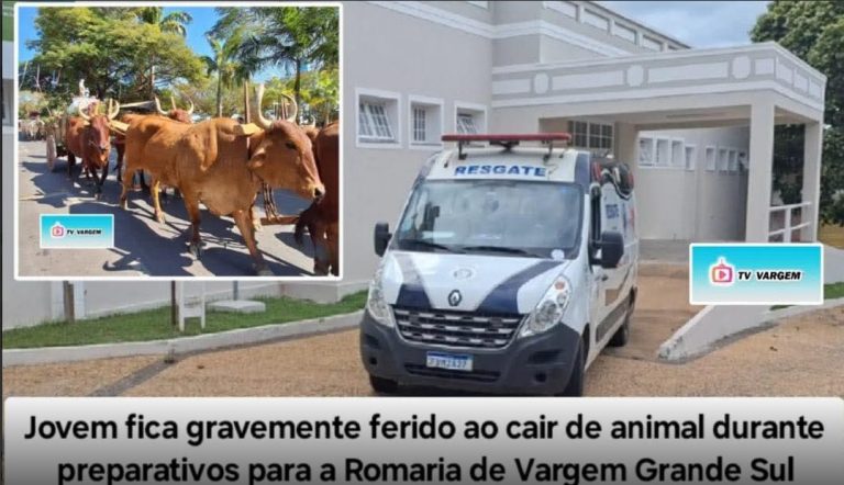 Jovem fica gravemente ferido ao cair de animal durante preparativos para a Romar [...]