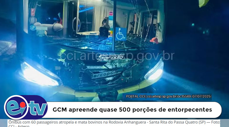Ônibus com 60 passageiros atropela e mata bovinos na Rodovia Anhanguera