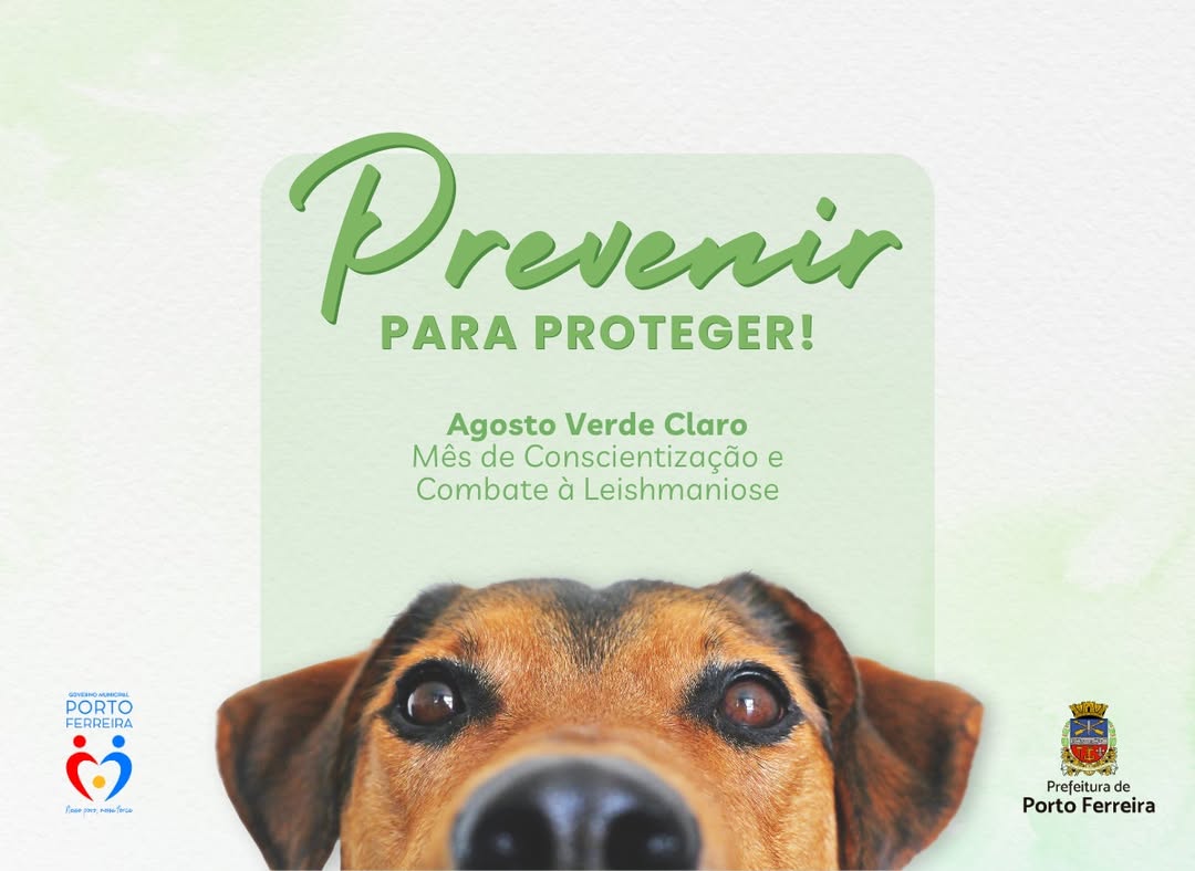Campanha Agosto Verde-Claro chama a atenção para conscientização e prevenção contra a leishmaniose