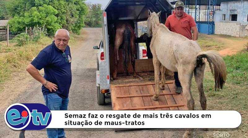 Semaz faz o resgate de mais três cavalos em situação de maus-tratos