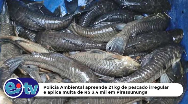 Polícia Ambiental apreende mais de 21 kg de pescado irregular e Multa chega a R$ [...]