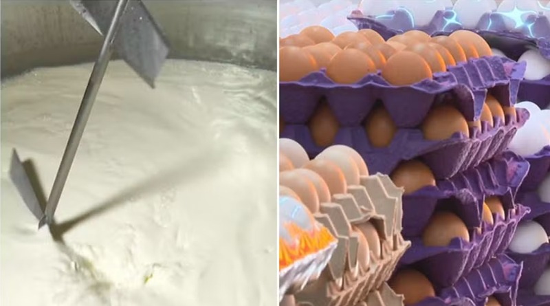 Alergia alimentar: médico esclarece dúvidas após morte de adolescente que comeu  [...]