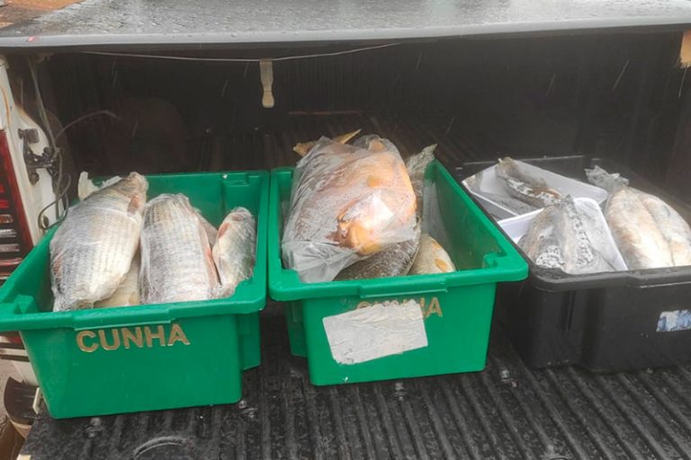 Polícia Ambiental Apreende Mais de 40 Kg de Pescado sem Declaração de Estoque em [...]