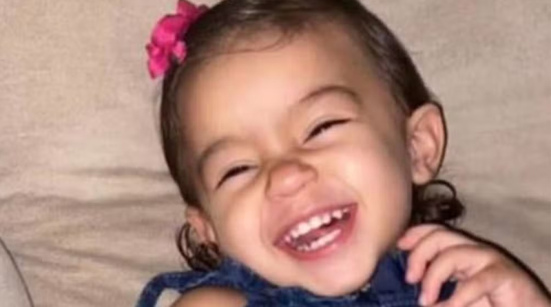 Bebê de 1 ano e 11 meses morre afogada ao cair em piscina no interior de SP