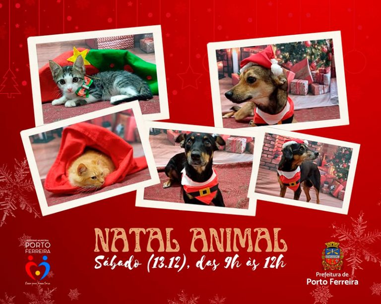 Natal Animal em Porto Ferreira: Centro de Controle de Zoonoses realizará o últim [...]