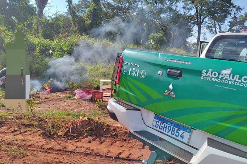Guarda Civil autua homem por queima irregular de fios elétricos