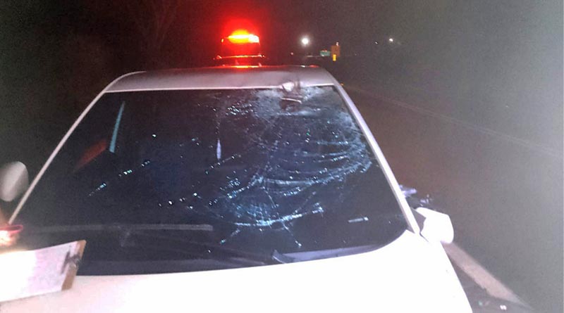 Acidente com cavalo na SP-215 expõe perigo constante de animais soltos na pista