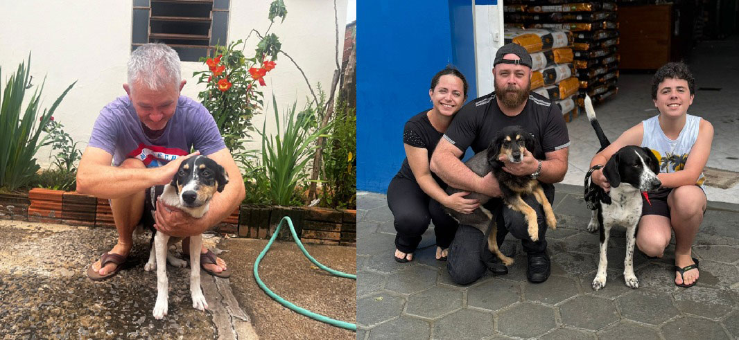 Arteris Intervias encontra famílias para cães resgatados e alerta aumento de abandono de pets no período de férias