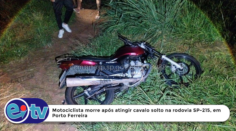 Motociclista morre após atingir cavalo solto na rodovia SP-215, em Porto Ferreira