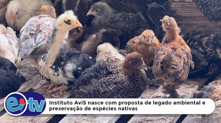 Instituto AviS nasce com proposta de legado ambiental e preservação de espécies  [...]