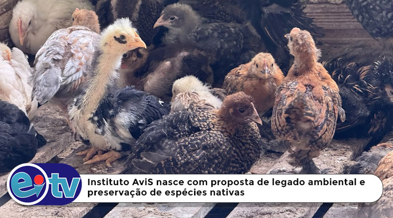 Instituto AviS nasce com proposta de legado ambiental e preservação de espécies nativas