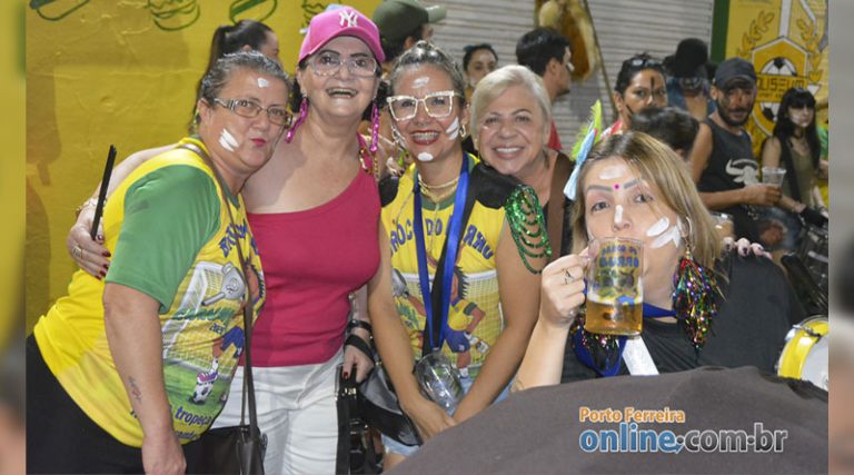 Tô online no Carnaval: acompanhando todos os ensaios