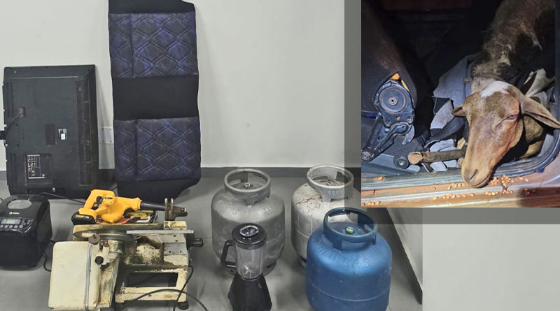 HOMEM É PRESO APÓS FURTAR CARNEIROS, CARRO, E OUTROS OBJETOS EM LEME