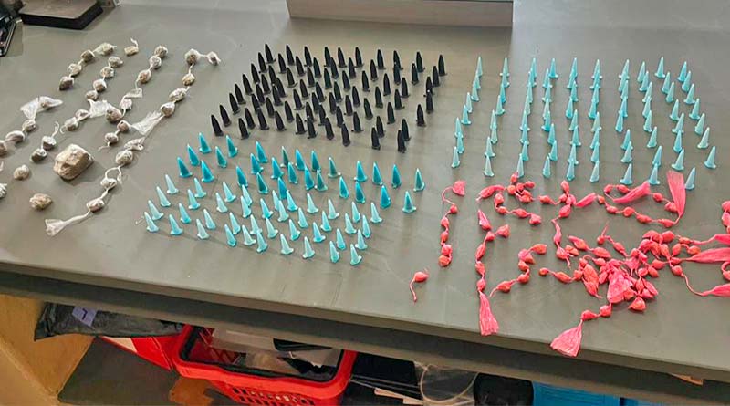 POLÍCIA MILITAR APREENDE GRANDE QUANTIDADE DE DROGAS EM PORTO FERREIRA