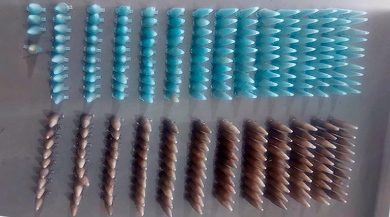 POLÍCIA MILITAR REALIZA APREENSÃO DE DROGAS EM PORTO FERREIRA