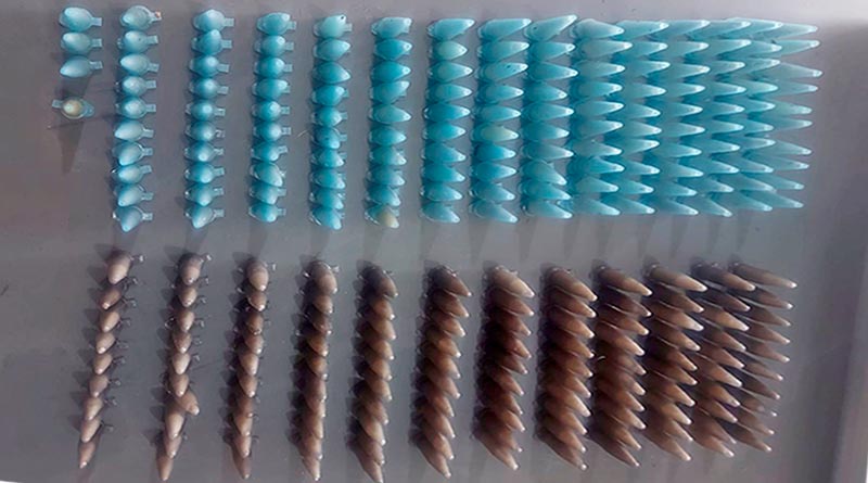 POLÍCIA MILITAR REALIZA APREENSÃO DE DROGAS EM PORTO FERREIRA