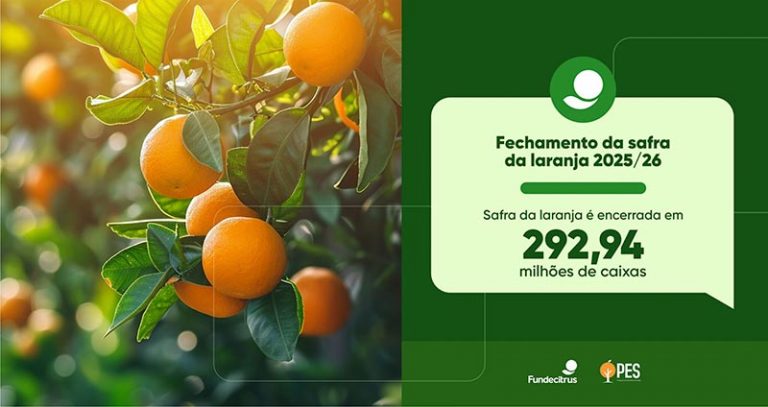 Safra de laranja 2025/26 é encerrada com produção total de 292,94 milhões de cai [...]