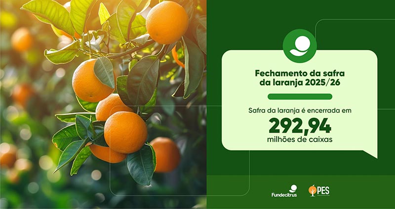 Safra de laranja 2025/26 é encerrada com produção total de 292,94 milhões de caixas