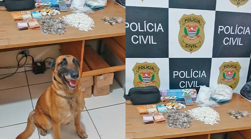 POLÍCIA MILITAR PRENDE HOMEM POR TRÁFICO DE DROGAS EM PORTO FERREIRA
