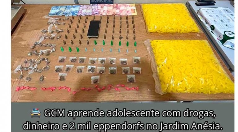 ADOLESCENTE É APREENDIDO POR ATO INFRACIONAL ANÁLOGO AO TRÁFICO DE DROGAS NO JAR [...]