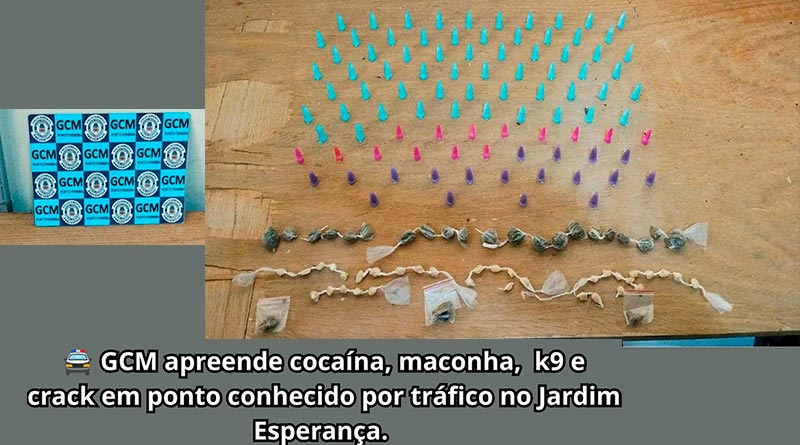 GCM APREENDE ENTORPECENTES EM PONTO CONHECIDO POR TRÁFICO NO JARDIM ESPERANÇA