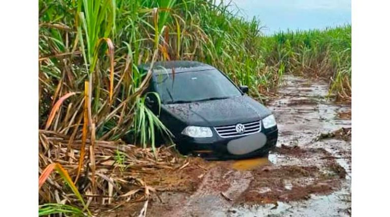 Homem é encontrado morto dentro de carro em canavial em Santa Cruz da Conceição