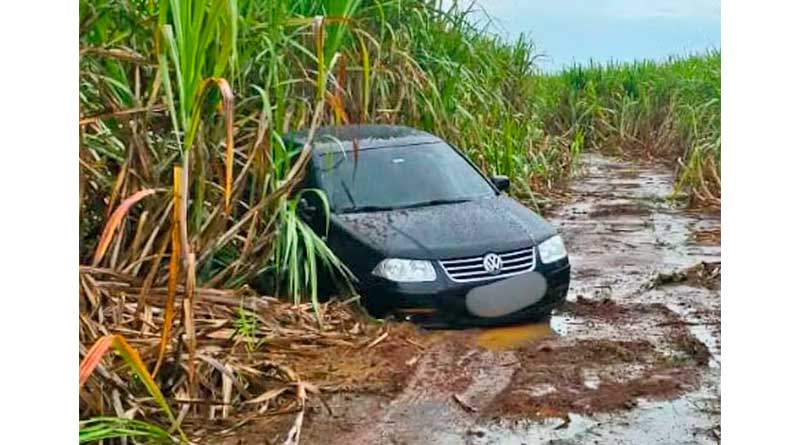 Homem é encontrado morto dentro de carro em canavial em Santa Cruz da Conceição