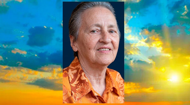 Obituário Porto Ferreira | Deonilde Crema de Araujo, aos 77 anos