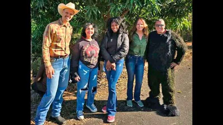 A Febre do Macaco Preto vai virar longa-metragem e busca parceiros para nova pro [...]