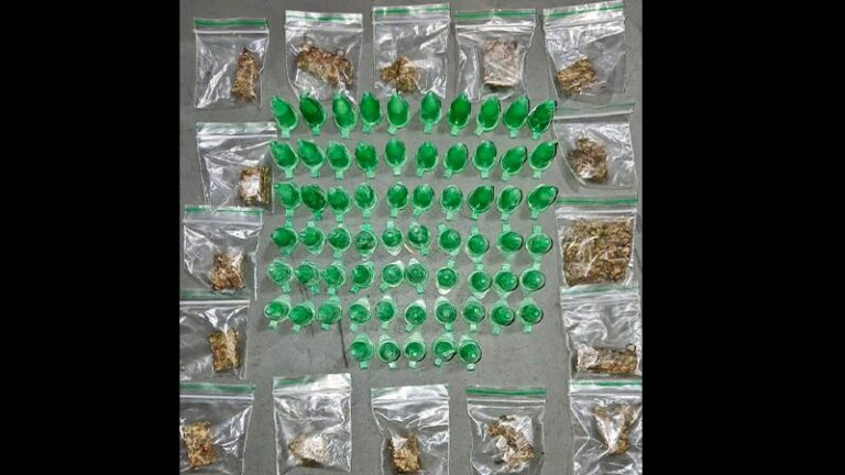 Polícia Militar apreende cocaína e maconha escondidas em imóvel abandonado em Sa [...]