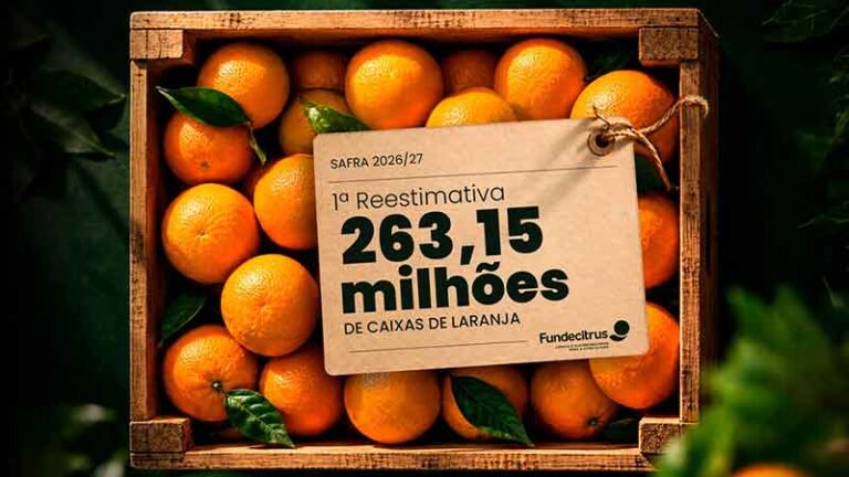 Primeira reestimativa da safra de laranja 2026/27 em SP e MG prevê produção de 2 [...]