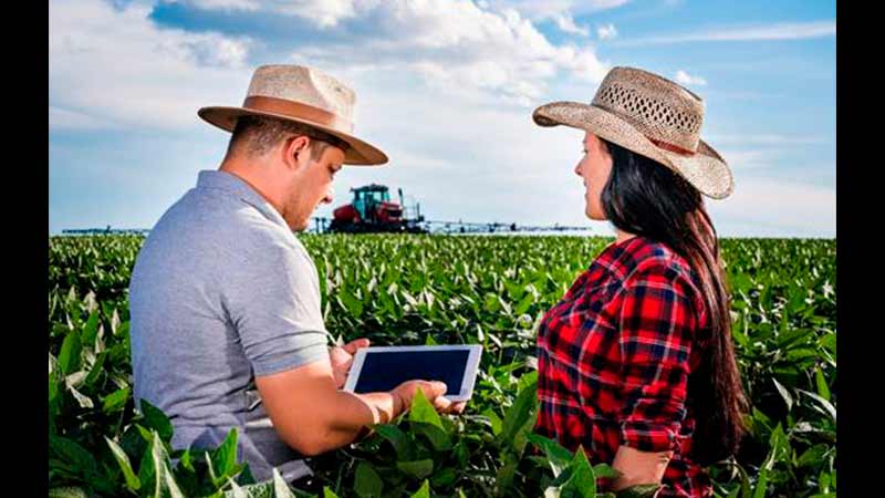 Inteligência artificial e agricultura de precisão impulsionam novas profissões n [...]