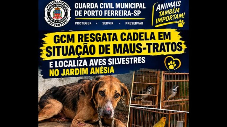 GCM RESGATA CADELA EM SITUAÇÃO DE MAUS-TRATOS E LOCALIZA AVES SILVESTRES NO JARD [...]