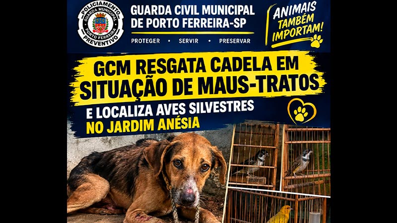GCM RESGATA CADELA EM SITUAÇÃO DE MAUS-TRATOS E LOCALIZA AVES SILVESTRES NO JARDIM ANÉSIA